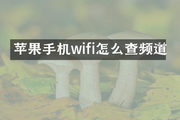 苹果手机wifi怎么查频道