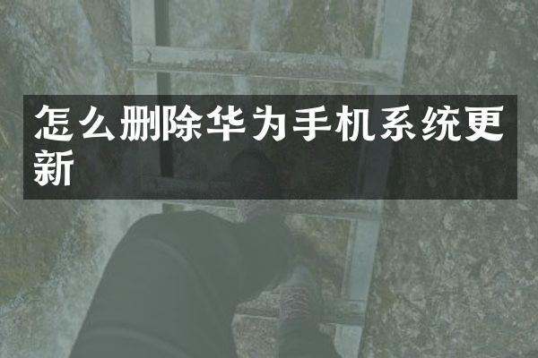 怎么删除华为手机系统更新