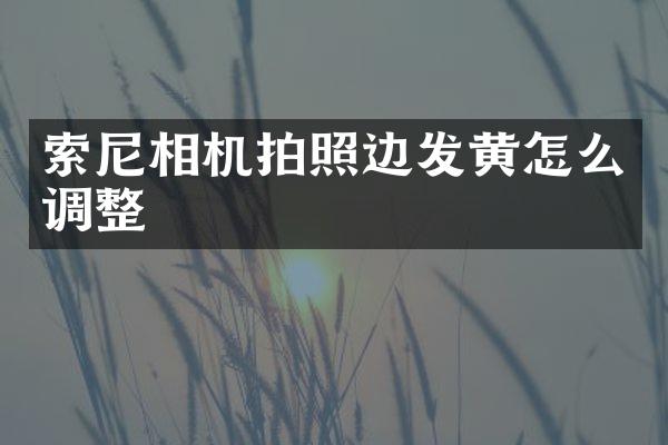 相机拍照边发黄怎么调整
