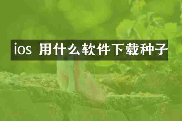 ios 用什么软件下载种子