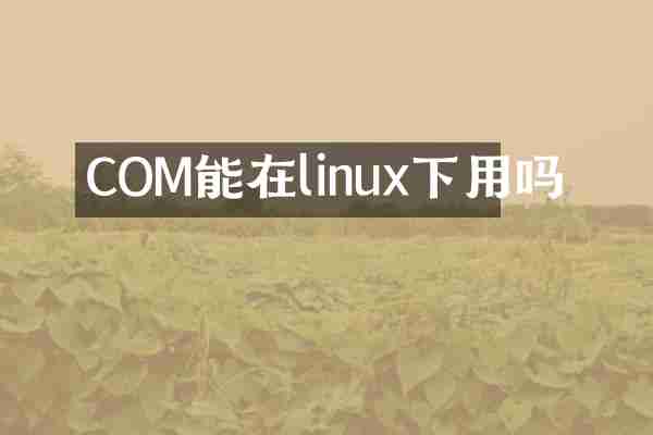 COM能在linux下用吗