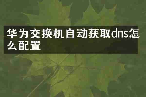 华为交换机自动获取dns怎么配置