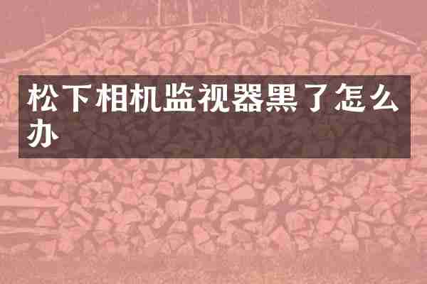 相机监视器黑了怎么办