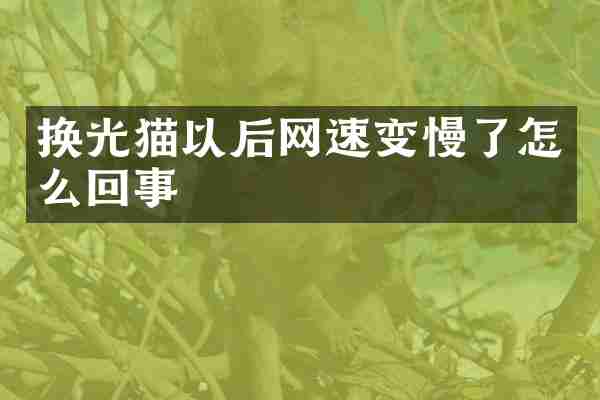 换光猫以后网速变慢了怎么回事
