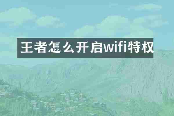 王者怎么开启wifi特权