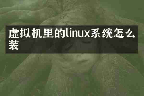 虚拟机里的linux系统怎么安装