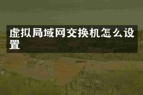 虚拟局域网交换机怎么设置