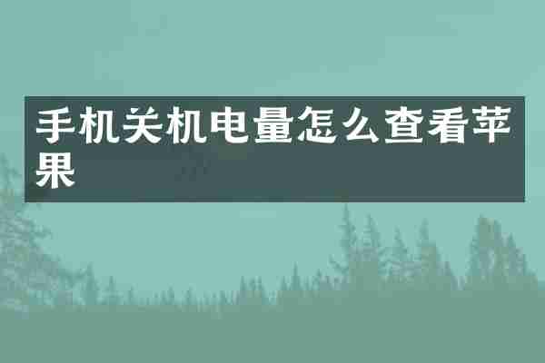 手机关机电量怎么查看苹果