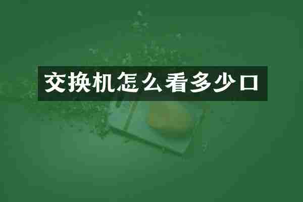 交换机怎么看多少口