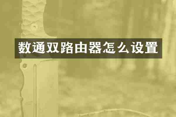 数通双路由器怎么设置