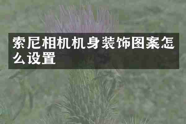 相机机身装饰图案怎么设置