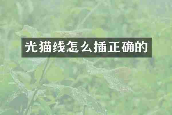 光猫线怎么插正确的
