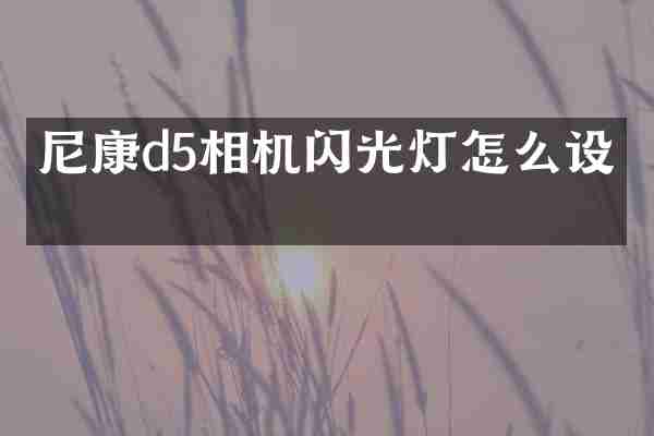 尼康d5相机闪光灯怎么设置