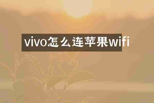 vivo怎么连苹果wifi