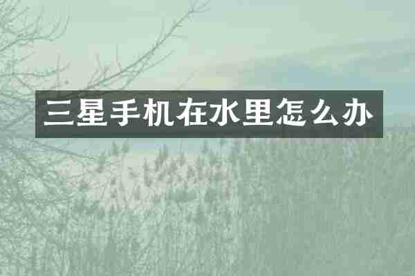 三星手机在水里怎么办