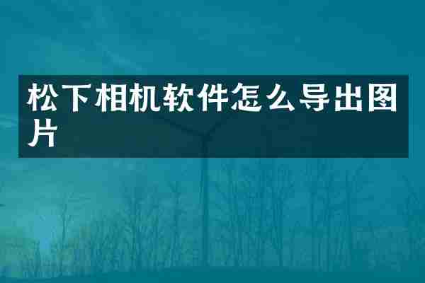 相机软件怎么导出图片