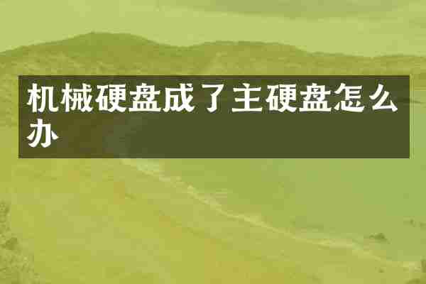 机械硬盘成了主硬盘怎么办