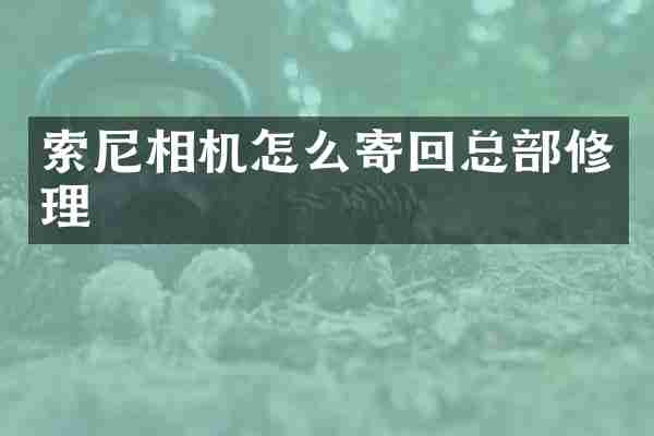 相机怎么寄回总部修理