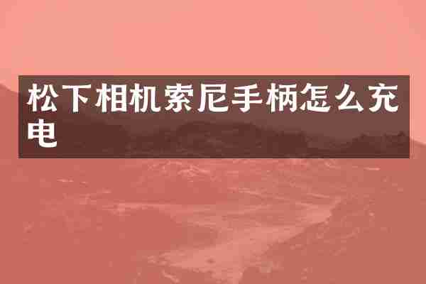 相机手柄怎么充电