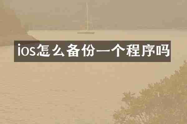 ios怎么备份一个程序吗