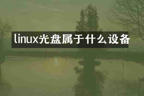 linux光盘属于什么设备