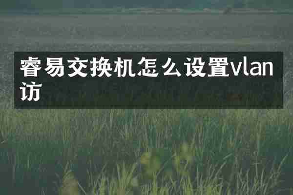 睿易交换机怎么设置vlan互访