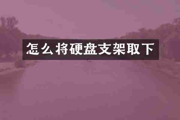 怎么将硬盘支架取下