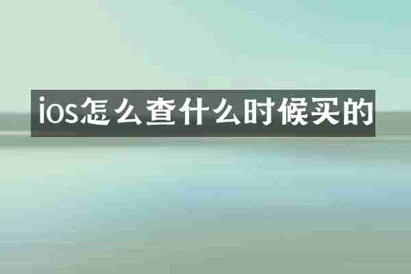ios怎么查什么时候买的