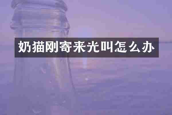 奶猫刚寄来光叫怎么办