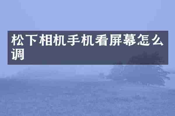 相机手机看屏幕怎么调