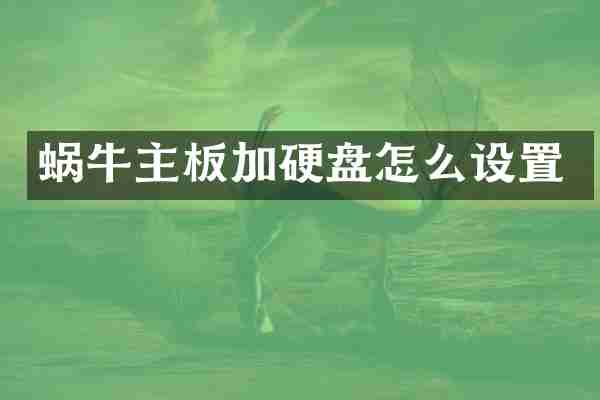 蜗牛主板加硬盘怎么设置