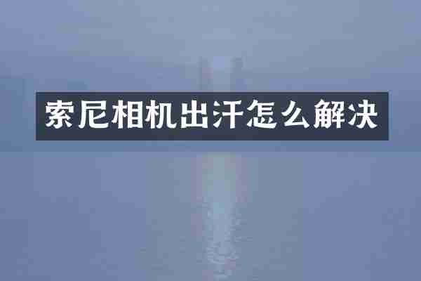 相机出汗怎么解决