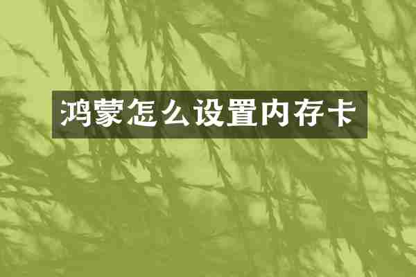 鸿蒙怎么设置内存卡