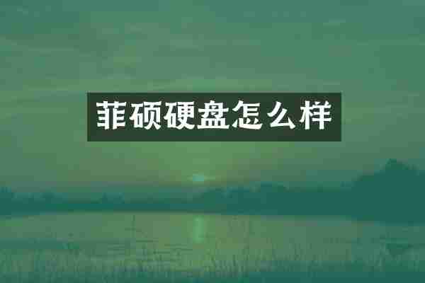 菲硕硬盘怎么样