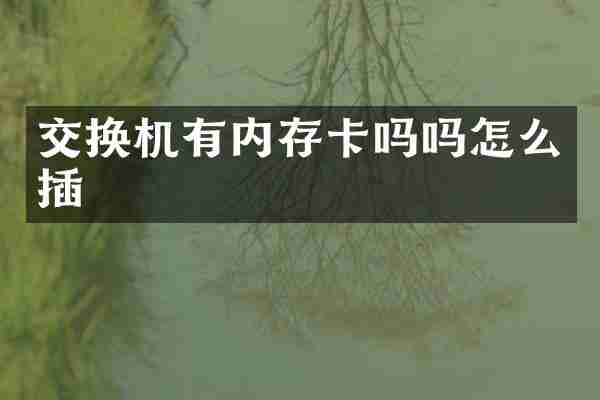 交换机有内存卡吗吗怎么插