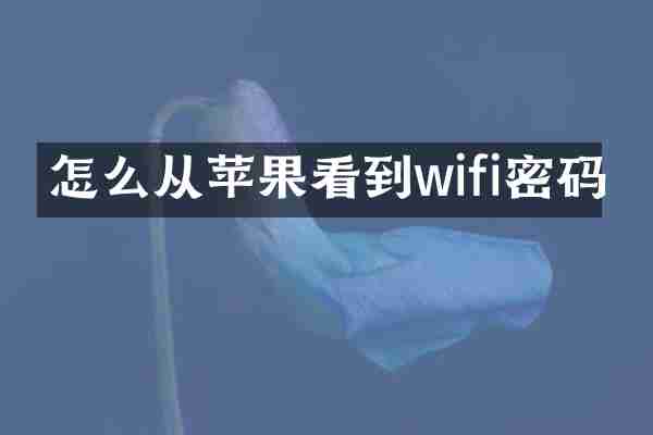 怎么从苹果看到wifi密码