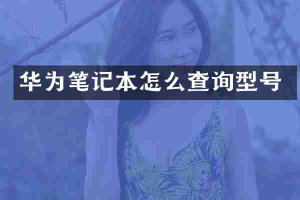 华为笔记本怎么查询型号