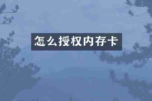 怎么授权内存卡