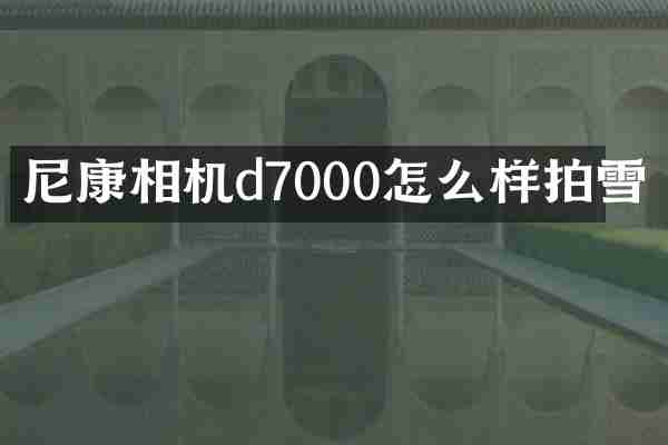 尼康相机d7000怎么样拍雪