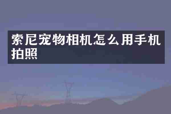 宠物相机怎么用手机拍照