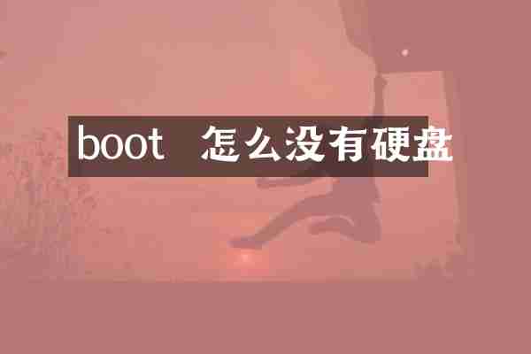 boot  怎么没有硬盘
