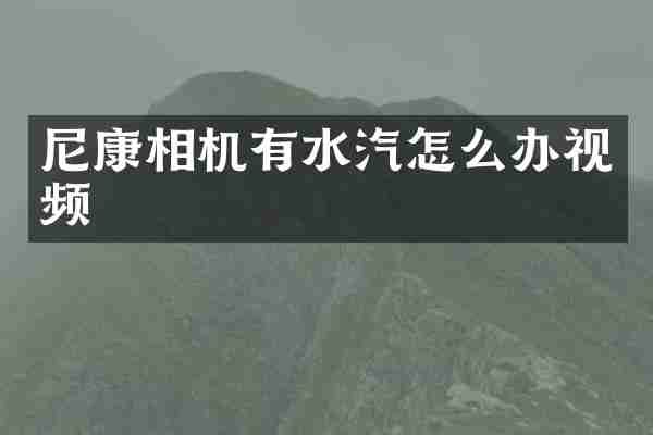 尼康相机有水汽怎么办视频