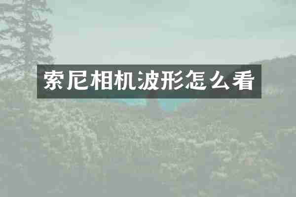 相机波形怎么看