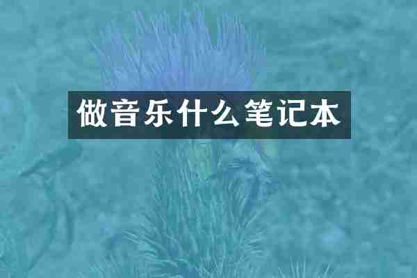 做音乐什么笔记本