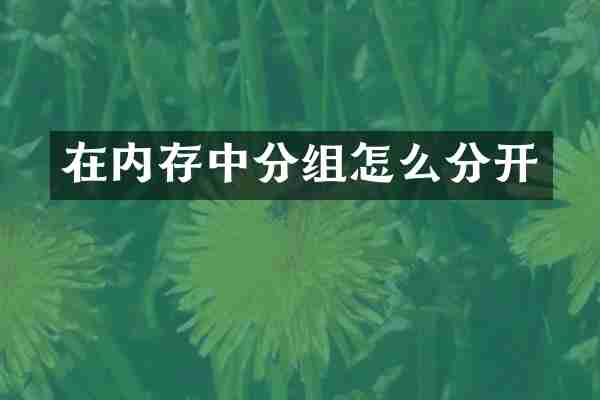 在内存中分组怎么分开