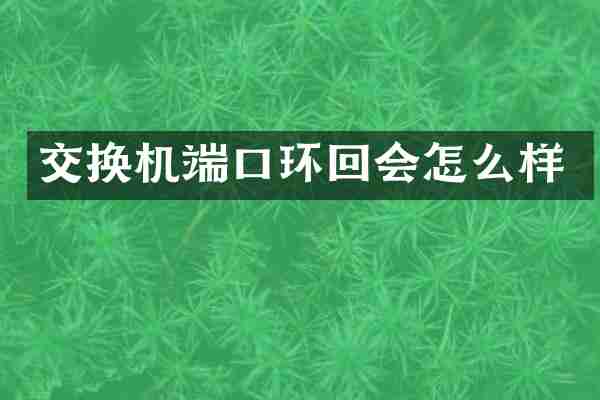 交换机端口环回会怎么样