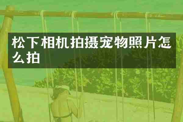 相机拍摄宠物照片怎么拍