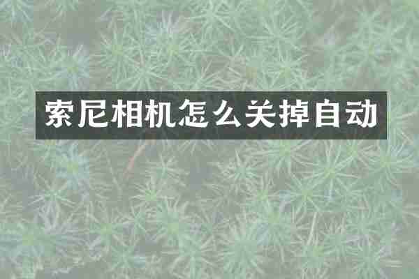 相机怎么关掉自动