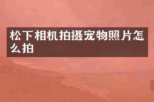 相机拍摄宠物照片怎么拍