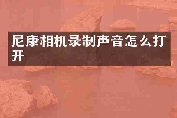 尼康相机录制声音怎么打开